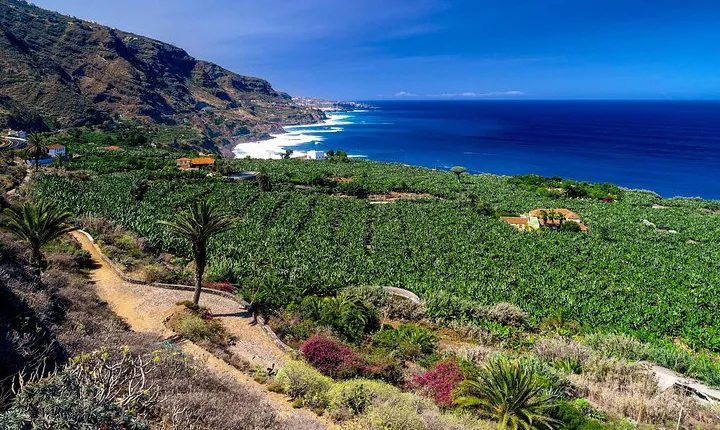 Tenerife North Private Tour: Through Villages and Ports