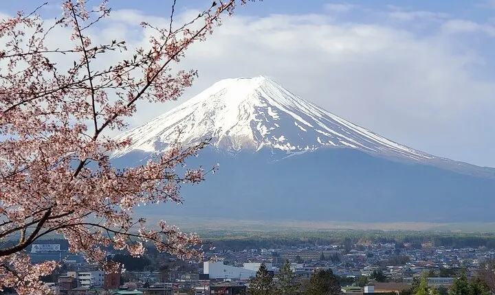 English Guided 2 Days Tokyo ,Mt Fuji and Hakone Private Tour