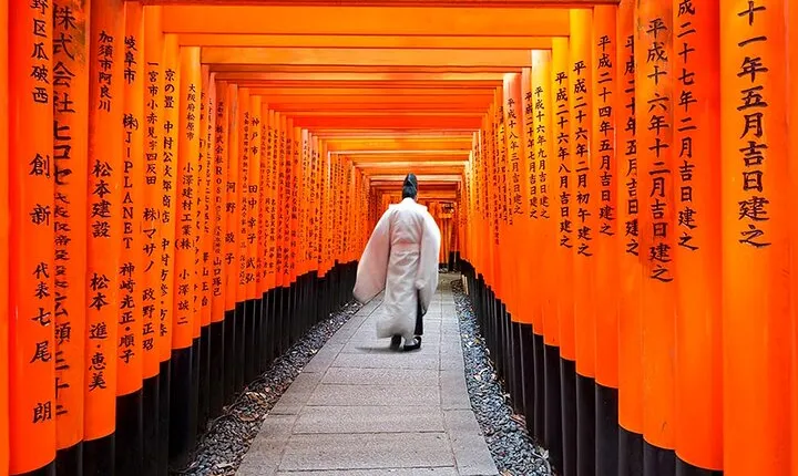 Kyoto One Day Sightseeing Tour from Osaka or Kyoto