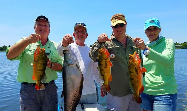 Peacock Bass Fishing Trips near Boca Raton