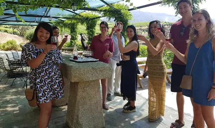 Douro Valley for Wine Lovers with Visit to 3 Vineyards and Lunch at a Winery