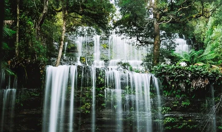 Mt Field National Park and Russell Falls from Hobart