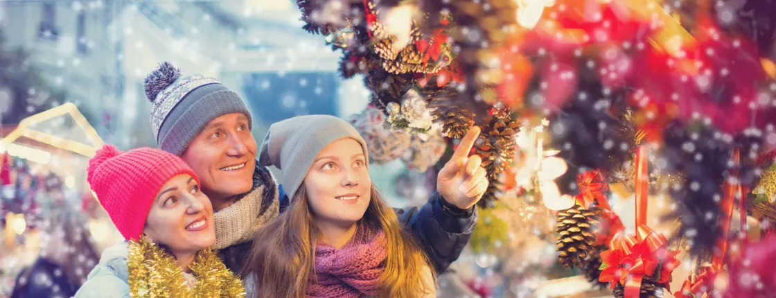 Magic Christmas tour in Tromso
