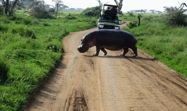4-Day Tour in Lake Nakuru, Lake Naivash, Masai Mara from Nairobi