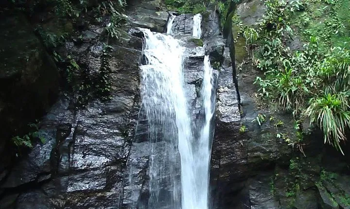Horto Waterfalls Circuit Adventure Tour in Tijuca National Park