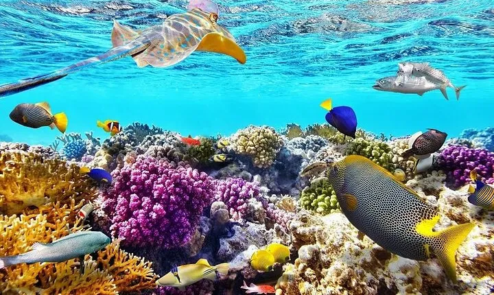 Orange Bay trip from El Gouna, Hurghada