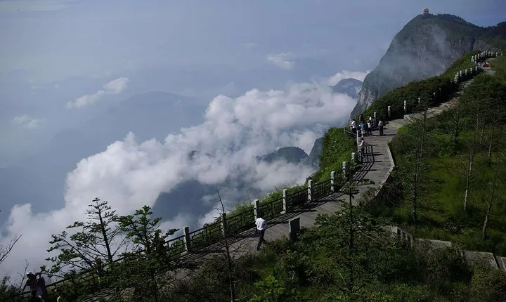 2 Days Leshan Mt.Emei High Speed Train Tour