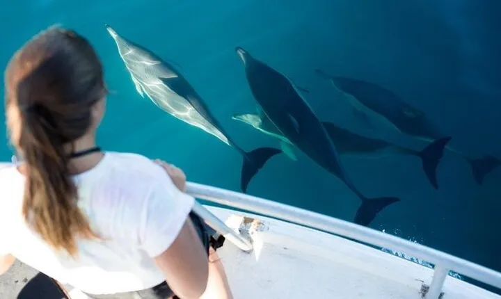 Private Luxury Boat to Dolphin House & Lunch & Transfer- Hurghada