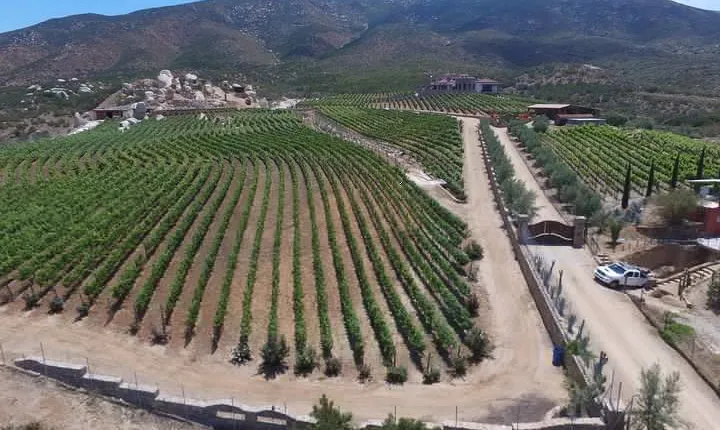 Wine Route including Tastings