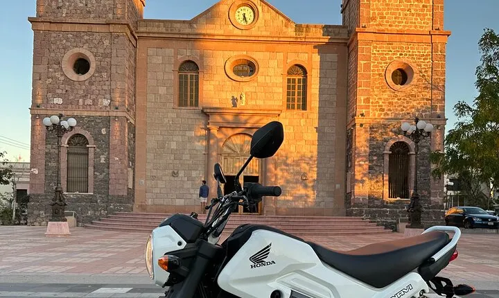 Scooter Rentals