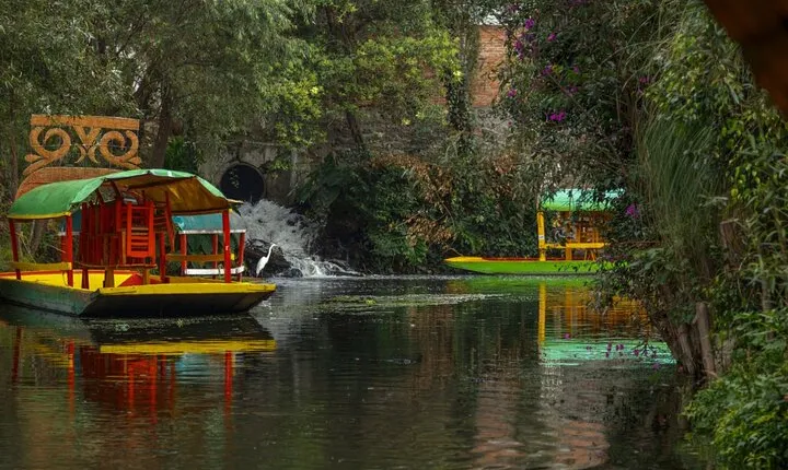 Mexico City Tour Frida Kahlo Museum and Other Mexican Attractions