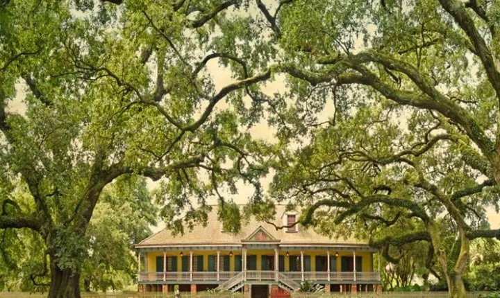 Small-Group Laura and Whitney Plantation Tour from New Orleans