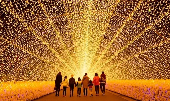 Day tour Nagashima Mitsu Outlet & Nabana no Sato from Nagoya