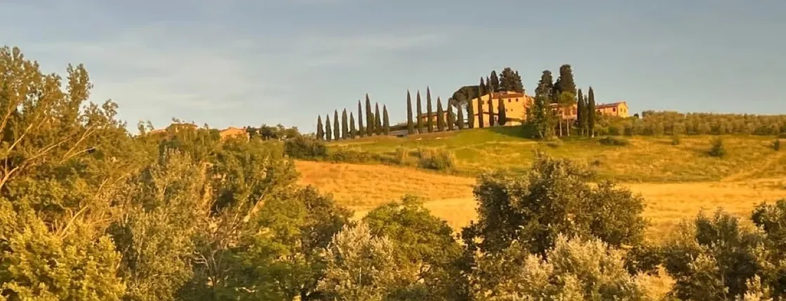 Chianti wine tour with sampling of wines, oil and balsamic vinegar