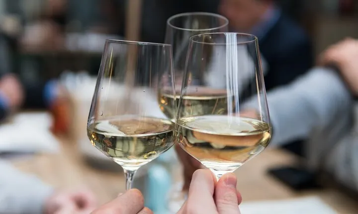 Wine Tasting in Palermo, City of Buenos Aires.