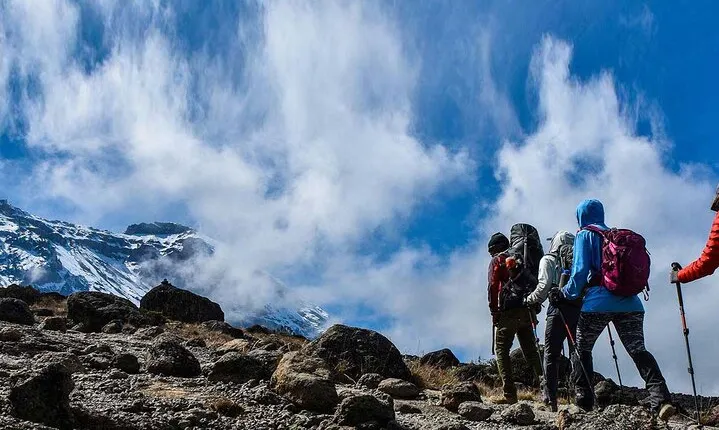 Private Full Day Tour to Kilimanjaro National Park
