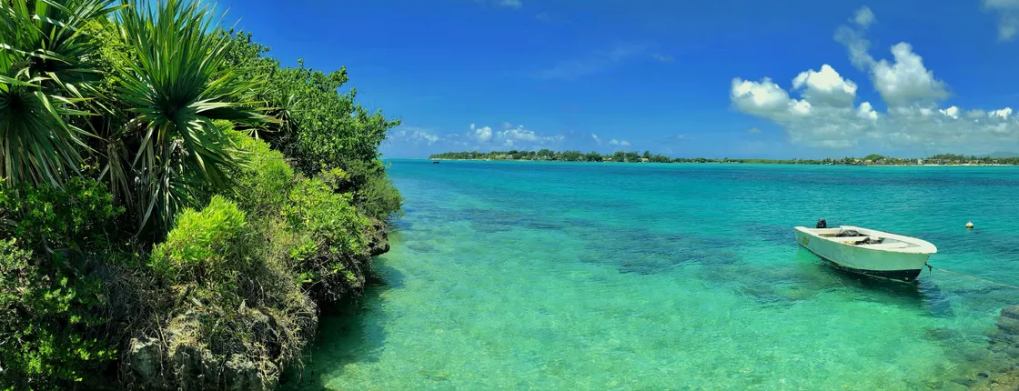 Île Aux Aigrettes flora and fauna two-hour tour
