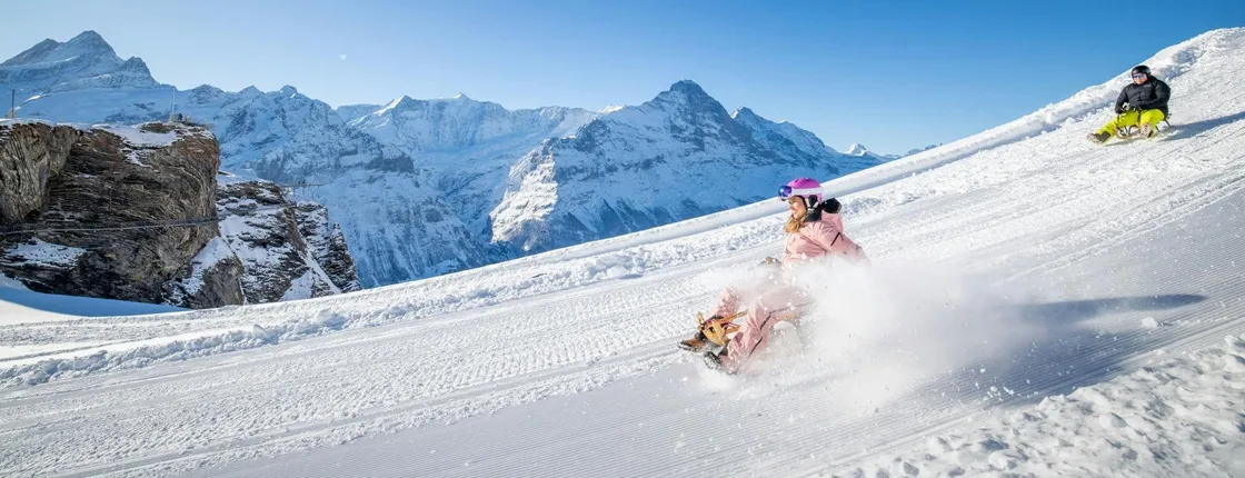 Winter sledging adventure private tour from Zurich