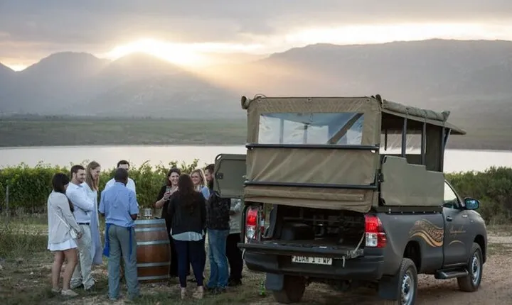 Vineyard Safari and Wine Tasting in Hermanus with Guide