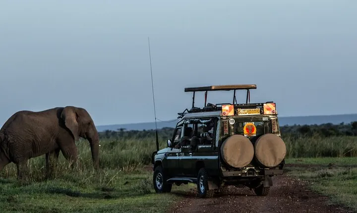 4 Days Safari from Mombasa to Amboseli and Tsavo West and East