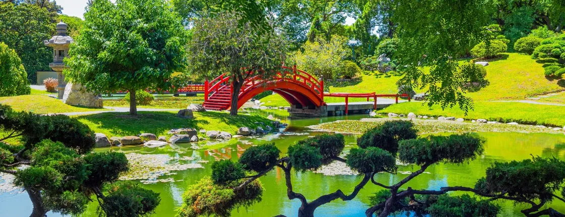 Private tour of Palermo, the Japanese and Botanical Gardens