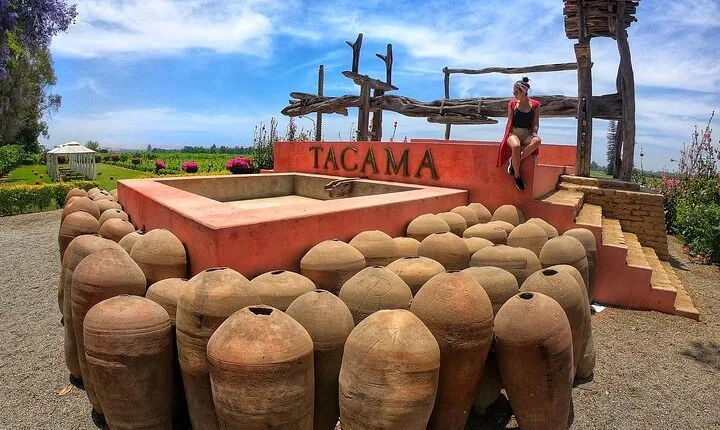 Ica: Pisco and Peruvian Wine Route