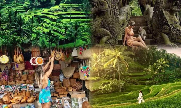 Ubud Half Day Private Tour 