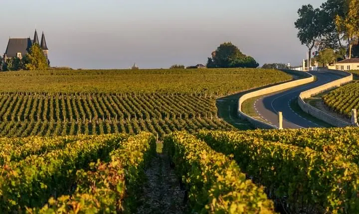 Private Médoc Region Wine Tour Experience from Bordeaux