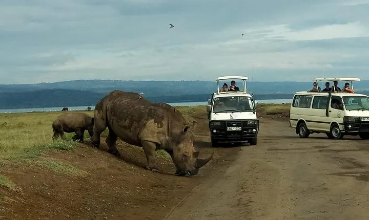 6 Days Maasai Mara - Nakuru - Amboseli budget group safari.
