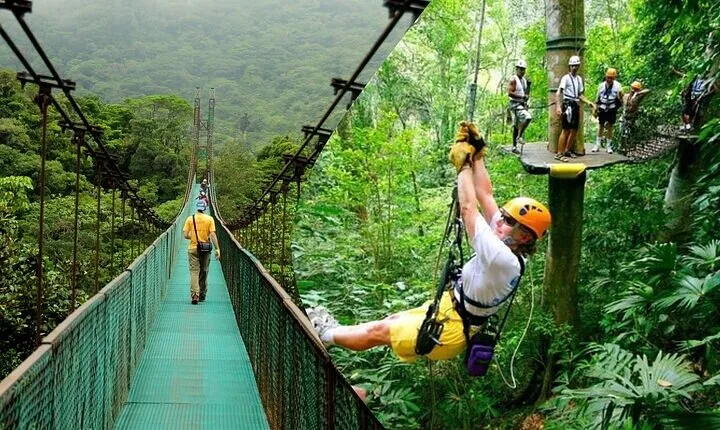 Zipline adventure & Rainforest Hanging Bridges-Skywalk