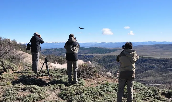 Photo Discovering Condors & Birdwatching - Full Day Tour in Private Service