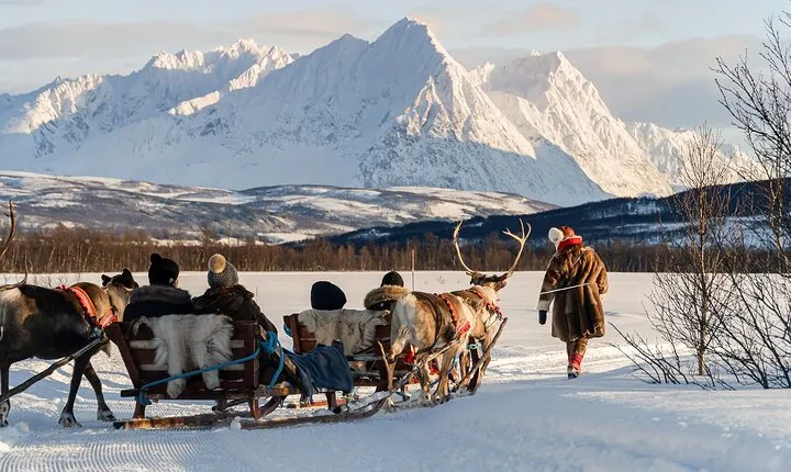 Reindeer Sledding and Feeding with Sami Culture in Tromso.