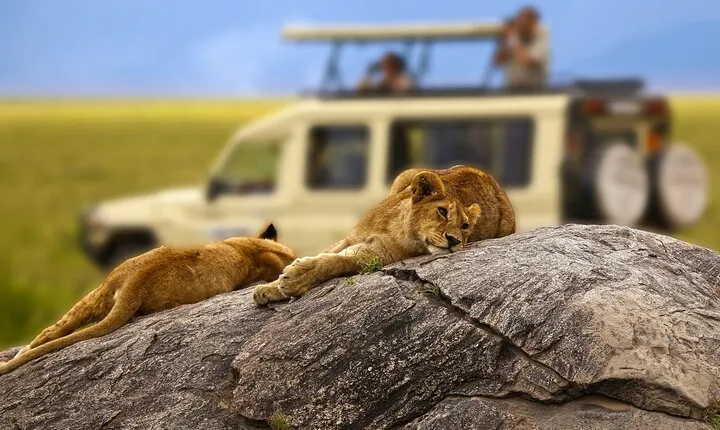 4 days Best experience Kilimanjaro Hike, Serengeti &Ngorongoro