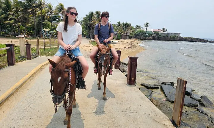 Roatan Horseback and Glass bottom boat Tour