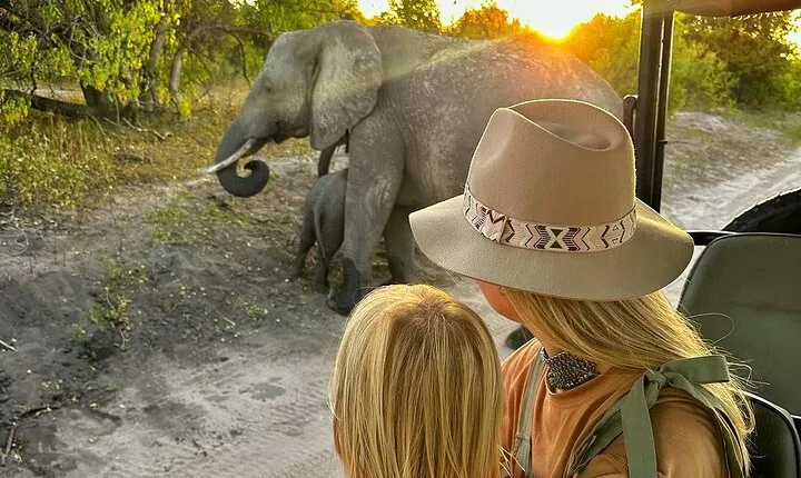 Chobe 3hr Game drive