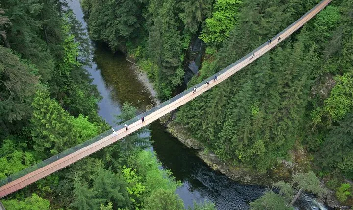 Capilano Suspension Bridge and Grouse Mountain Signature Tour
