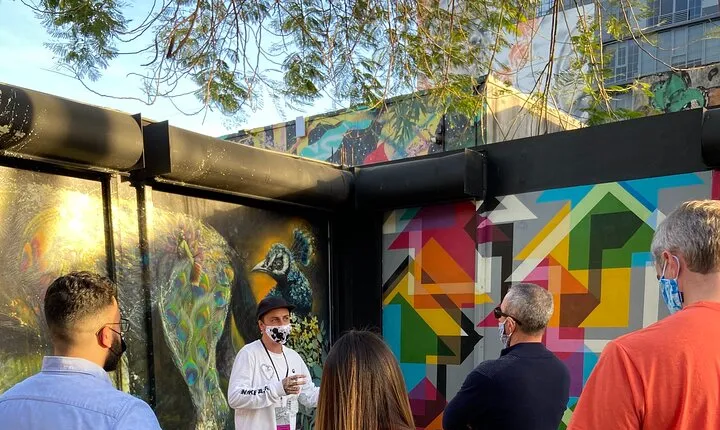 Wynwood Walls Official Tour 