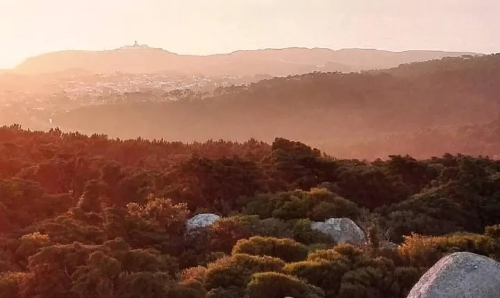 Private Evening Walk Inside the Forest: "Sintra Mountains Inbetween Wolves"