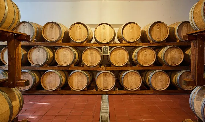 Private Wine Tasting in the Cellar in Mugliano