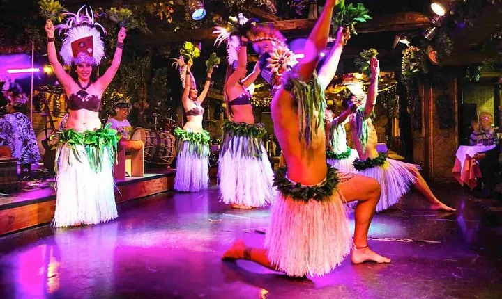 Santiago Dinner Show with Private Transfer