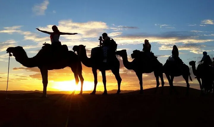 Sunset Camel Ride and Dinner in Agafay Desert