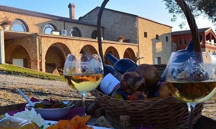 Wine tasting and Olive Oil in Tirana Surroundings