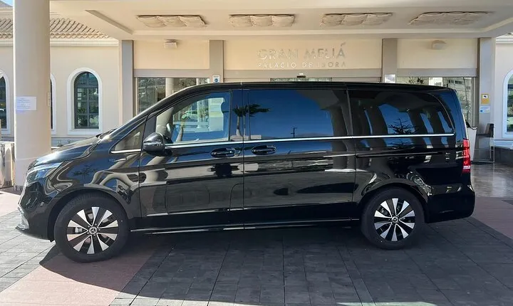8-Hour Rental in a Luxury Car and Driver/Official Private Guide in Tenerife