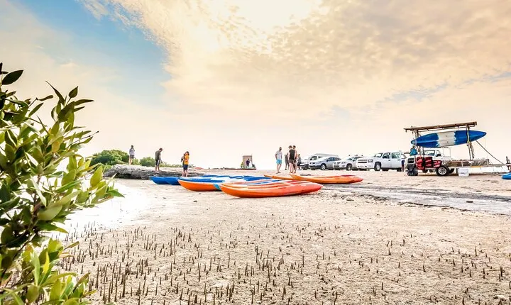 Qatar Kayaking Adventure-Mangrove at Purple Island W/Pick & drop