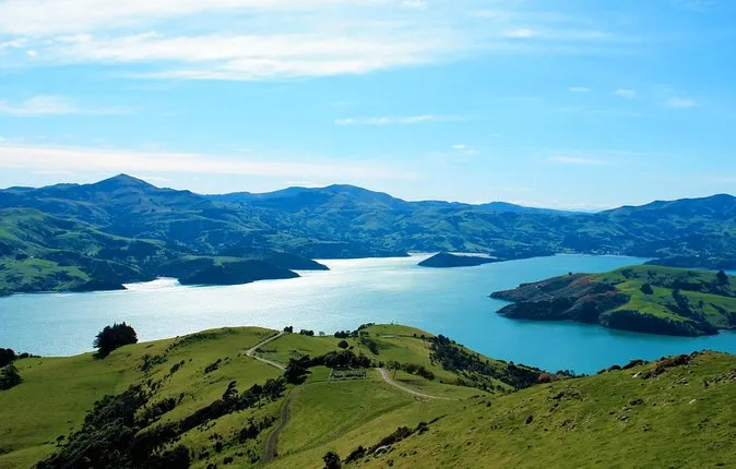 Akaroa and Banks Peninsula Wild Penguins Tour