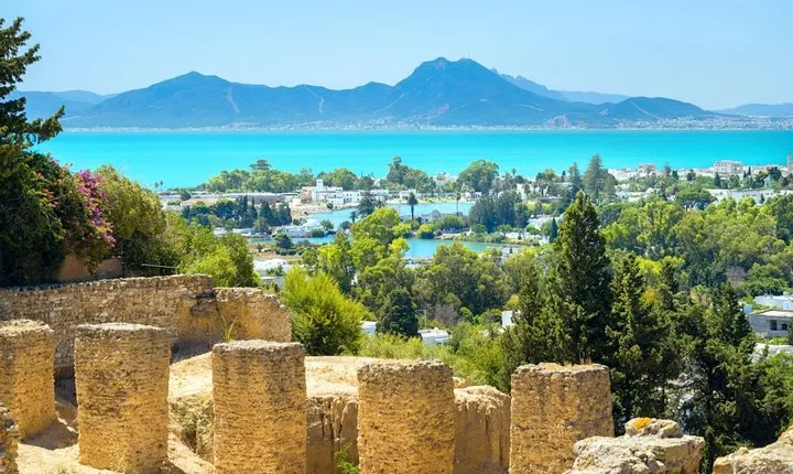 Carthage Discovery Half-Day Tour with Licensed Guide