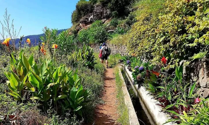 Levada Serra D´Agua