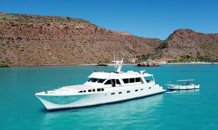 7-Day Journey to the Sea of Cortez Adventure Cruise from Cabo/La Paz