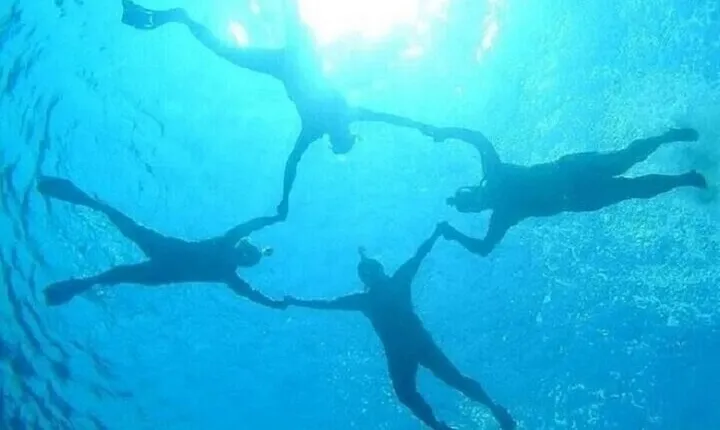 Coral Garden Full Day Snorkeling Trip with Lunch : Marsa Alam