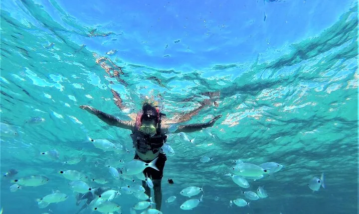 Ibiza Snorkeling Beach and Cave Cruise Tour 